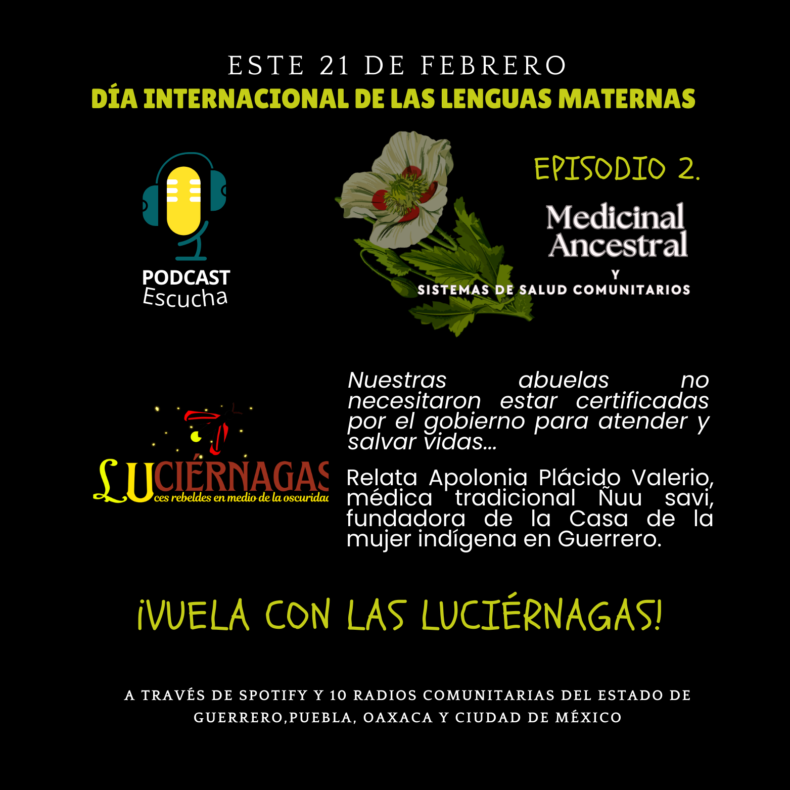 Episodio 2.Medicina Ancestral y sistemas de Salud Comunitario episode artwork