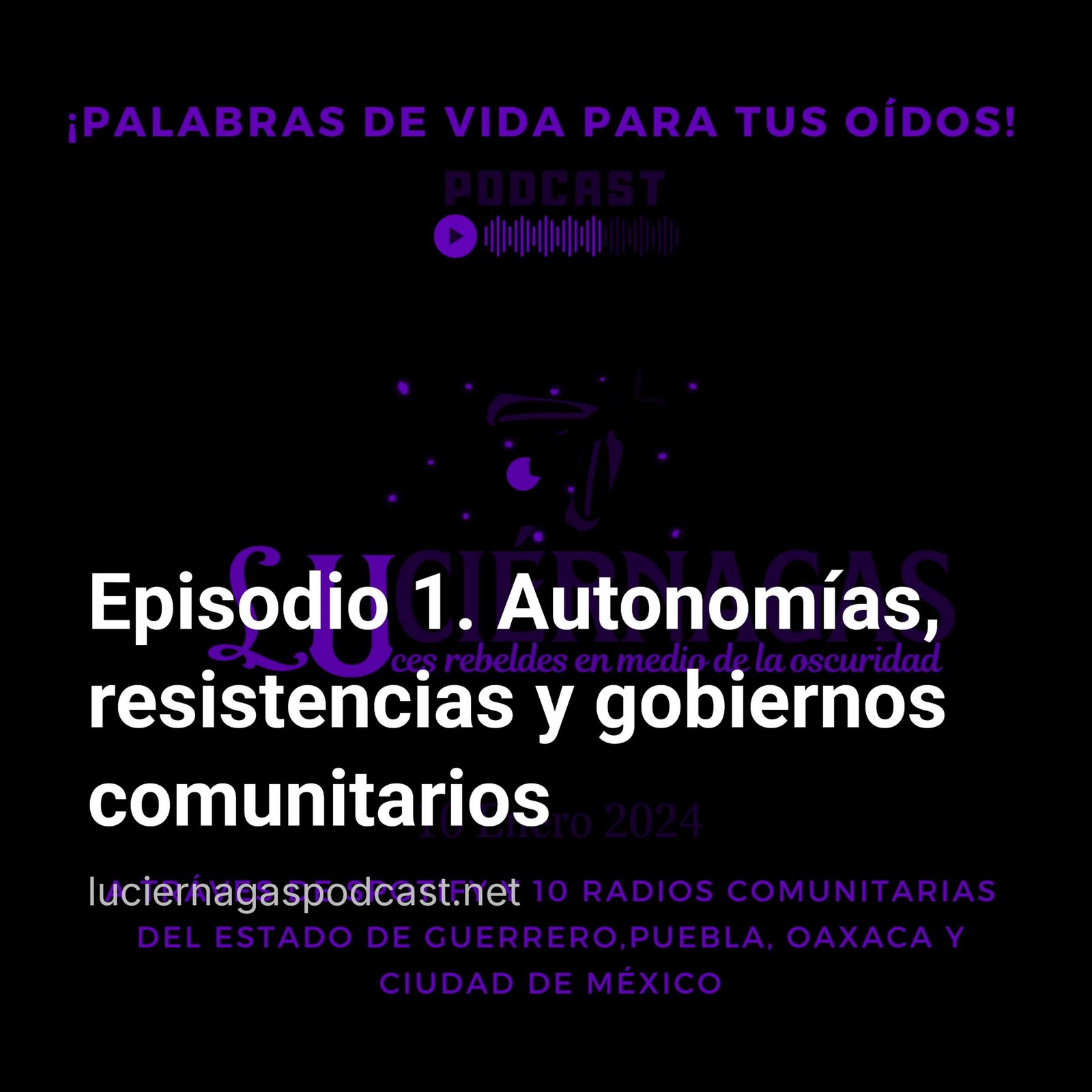 Episodio 1. Autonomías, resistencias y gobiernos comunitarios episode artwork