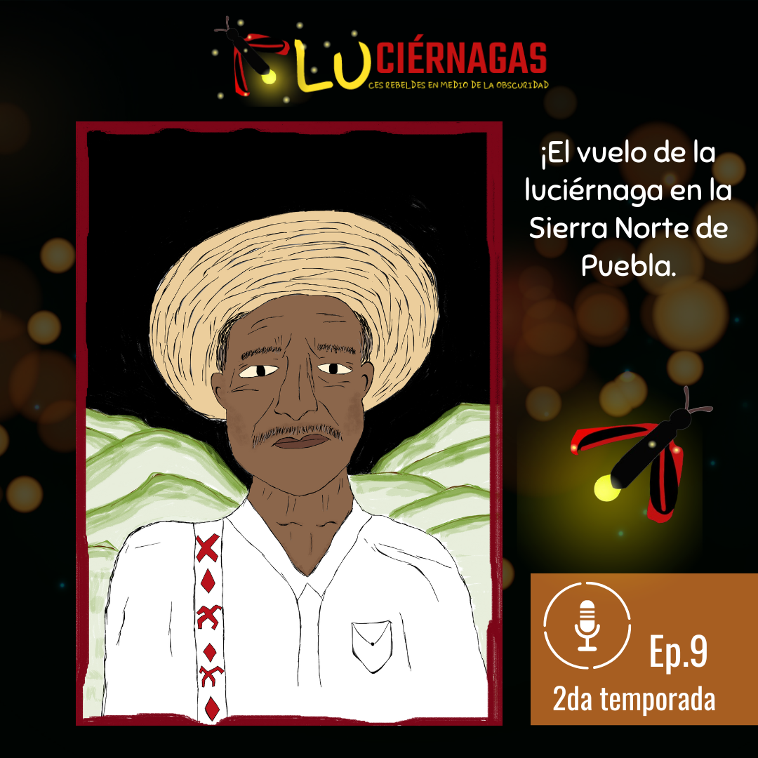 Episodio 9. Organización frente a proyectos de muerte en la Sierra Norte de Puebla episode artwork